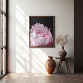 Pink peony VIII Poster