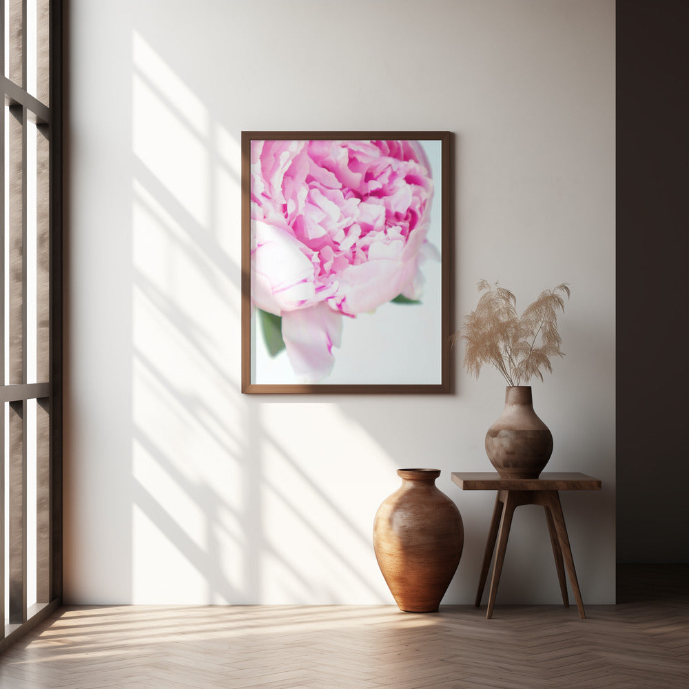 Pink peony VII Poster