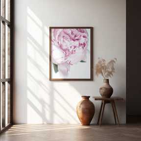 Subdued peony VII Poster