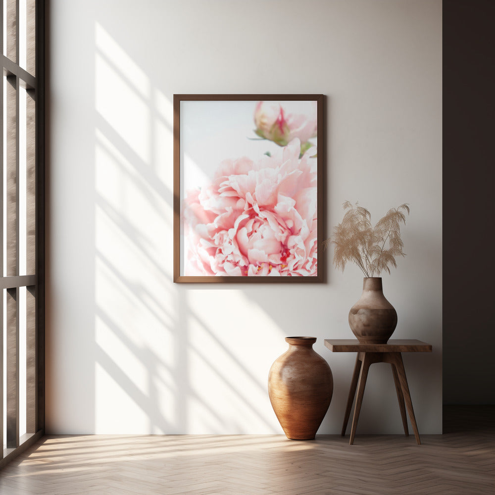 Blush peony IX Poster