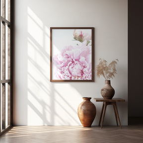 Subdued peony IX Poster