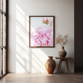 Pink peony IX Poster