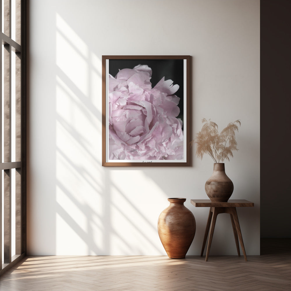 Enjoy the little things peony Poster