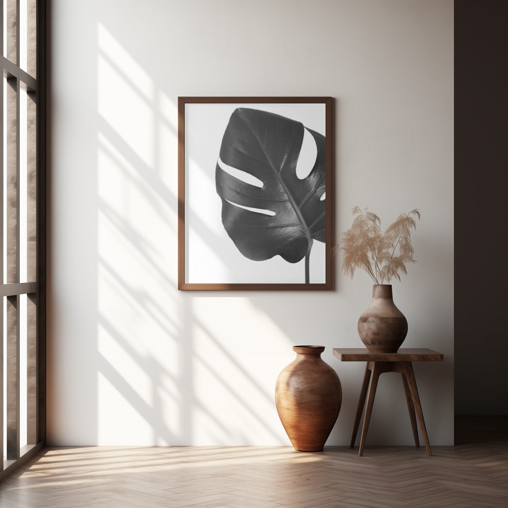 Gray monstera leaf Poster