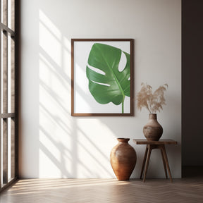 Bright green monstera leaf Poster