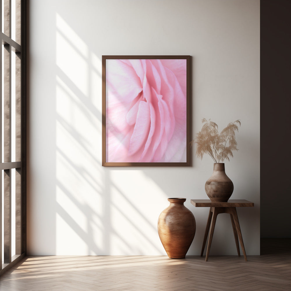 Soft pink petals Poster