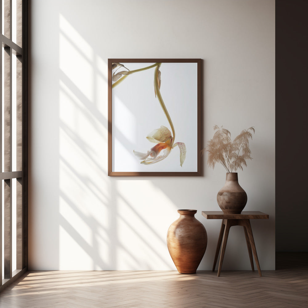 Arch Angle No1 Poster