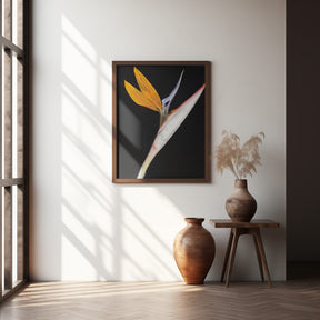 Bird of Paradise Poster