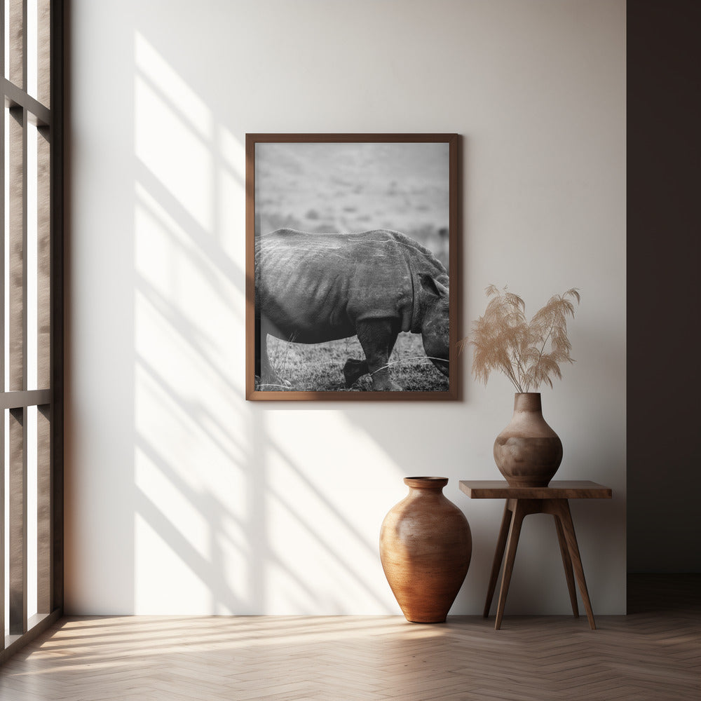 Black Rhino Poster