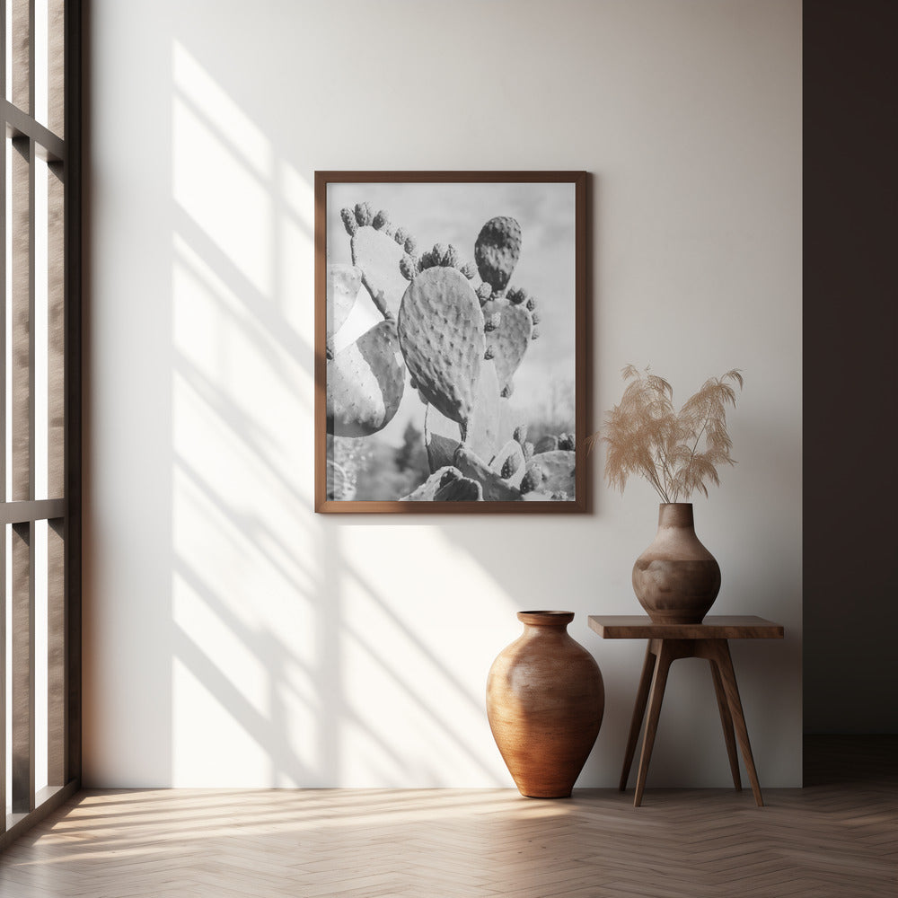 Cacti Cowboy No1 Poster