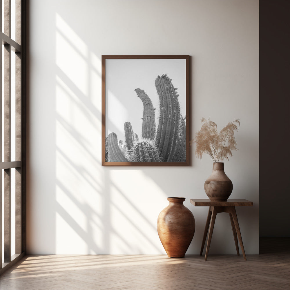 Cactus Poster