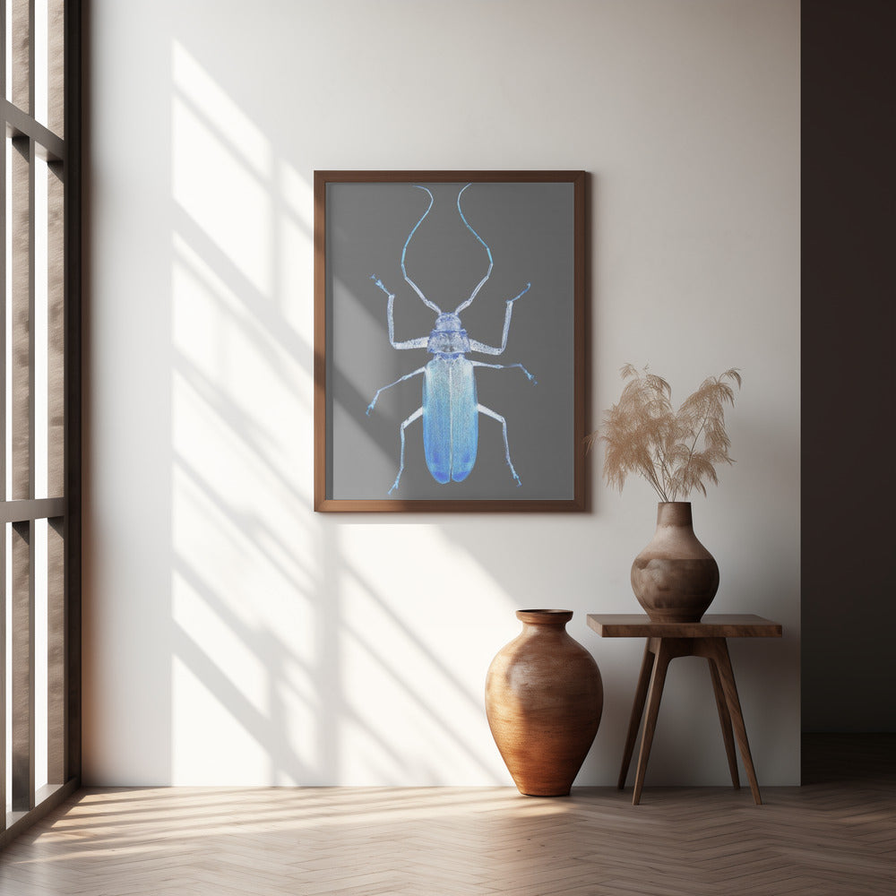 Insect Evolution Poster