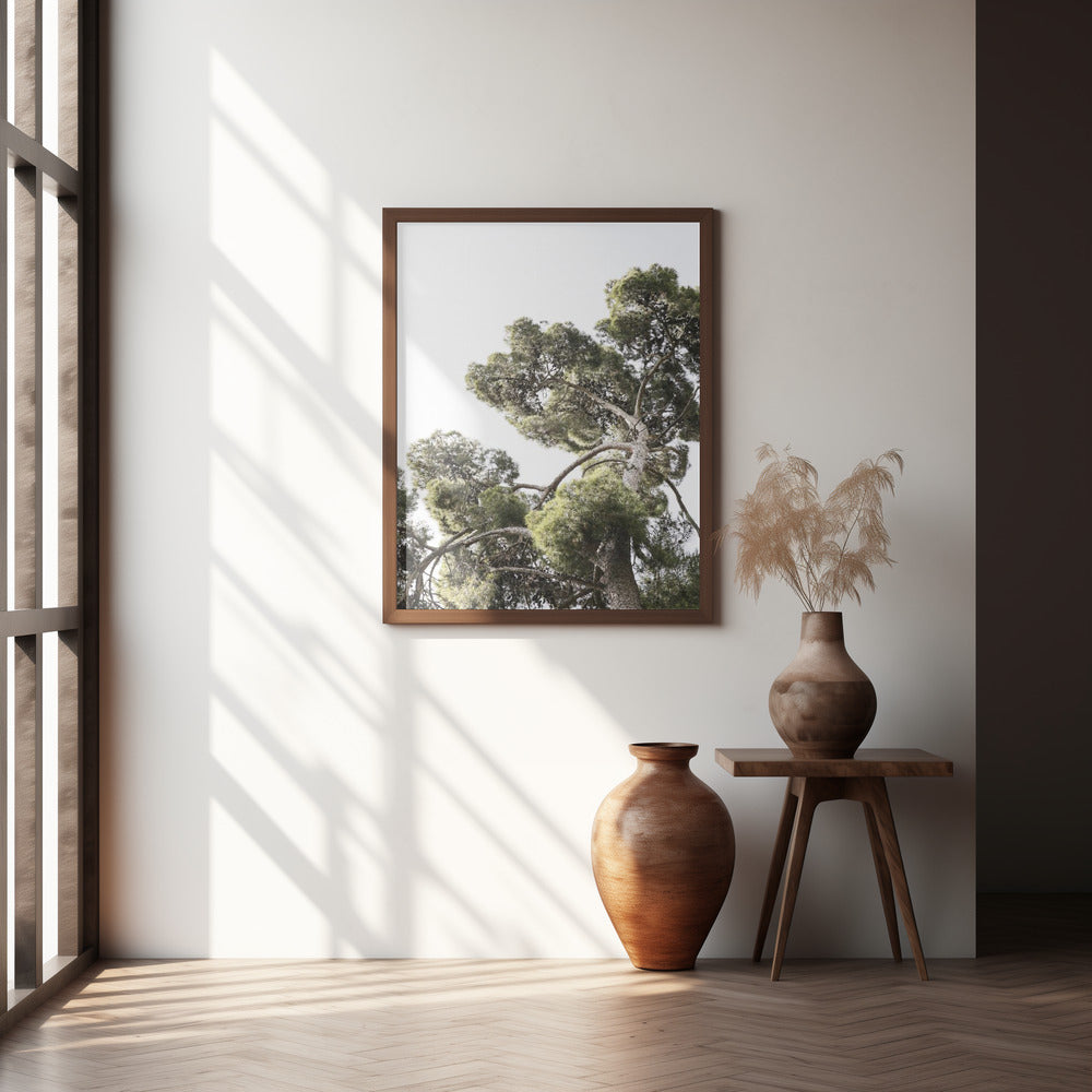 Japanese Garden 01 Poster