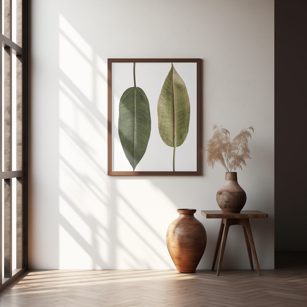 Leaf Study 05 Poster