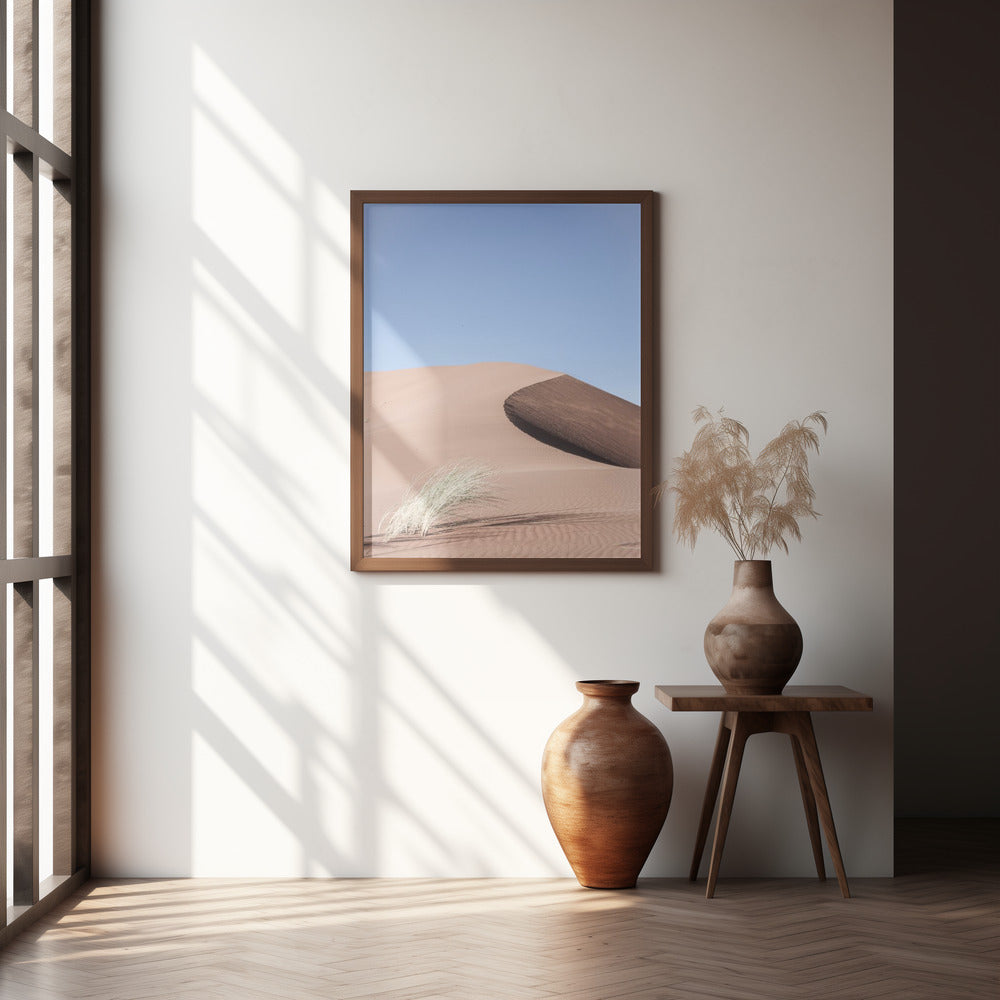 Namib Two Poster