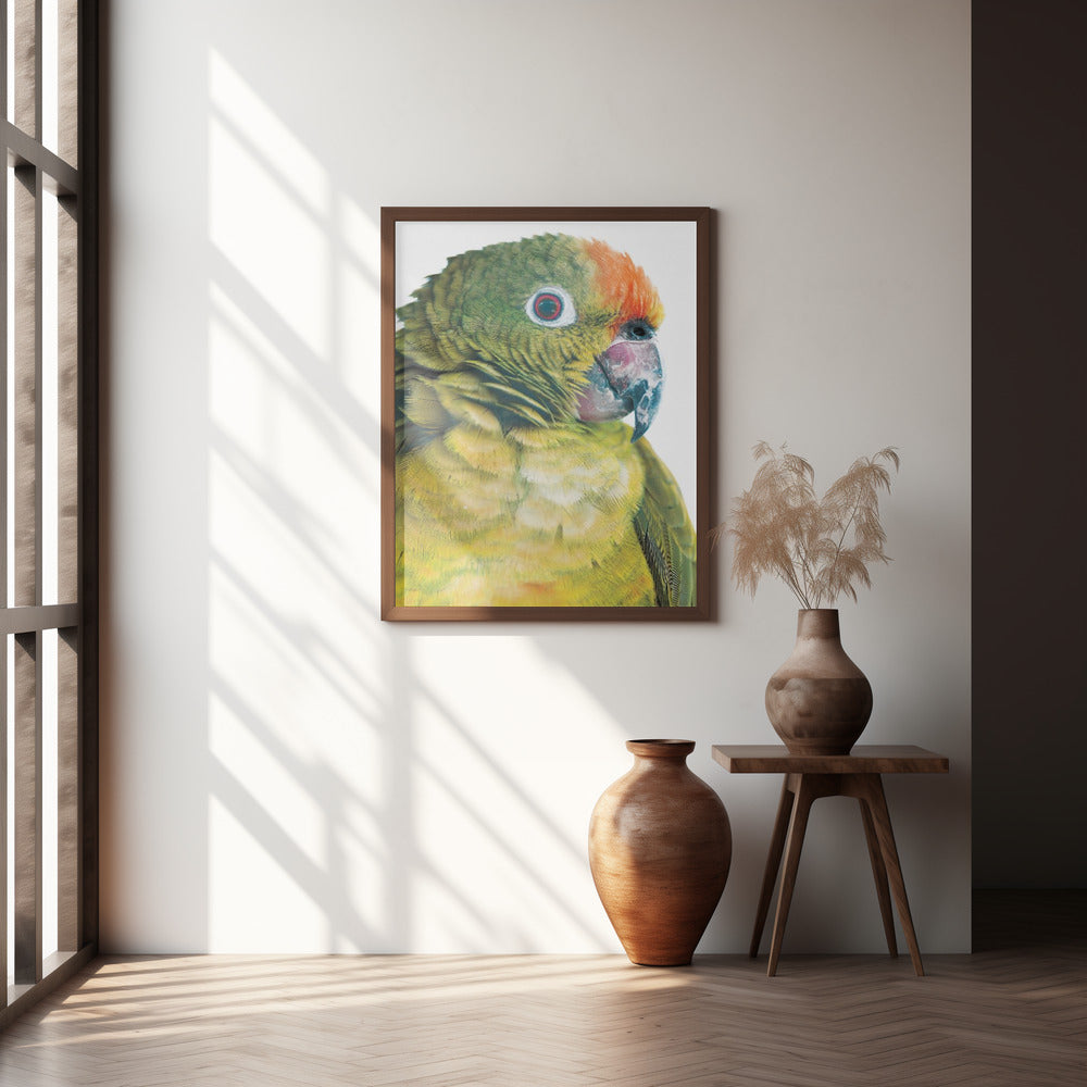 Parrot Poster