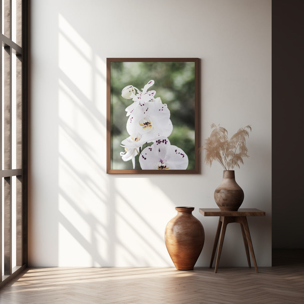 Spring Blooms Poster