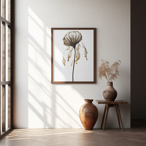 Dry Sea Shell Flower Poster