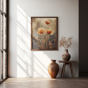 Poppy In Morning Sun Poster