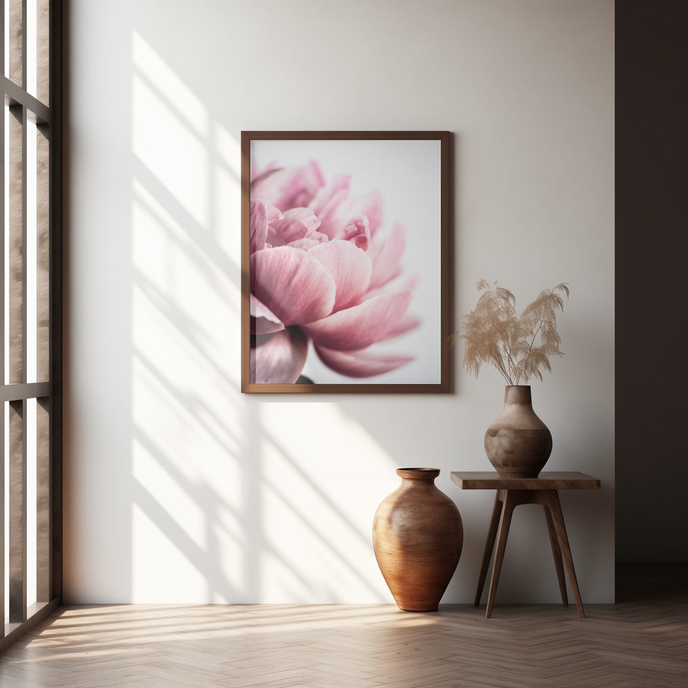 Peony 1 Poster