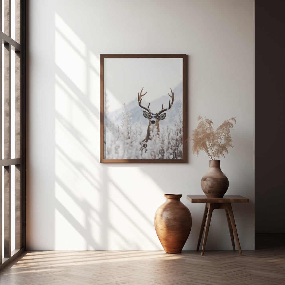 Curious Deer Poster