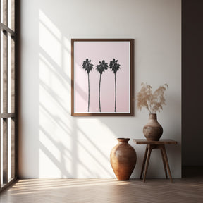 Pinky Palms Poster