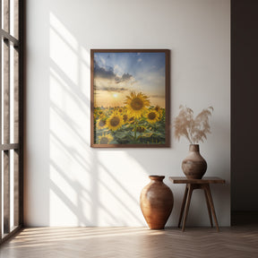 Sunset with beautiful sunflowers Poster