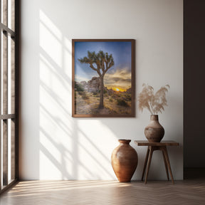 Charming sunset at Joshua Tree National Park Poster