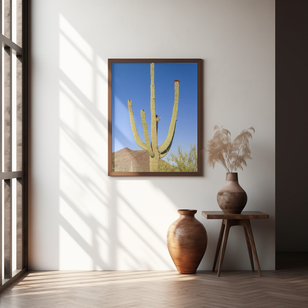 SAGUARO NATIONAL PARK Giant Saguaro Poster