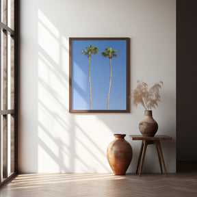 Idyllic Palm trees Poster