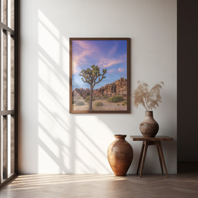 Joshua Tree Evening Atmosphere Poster