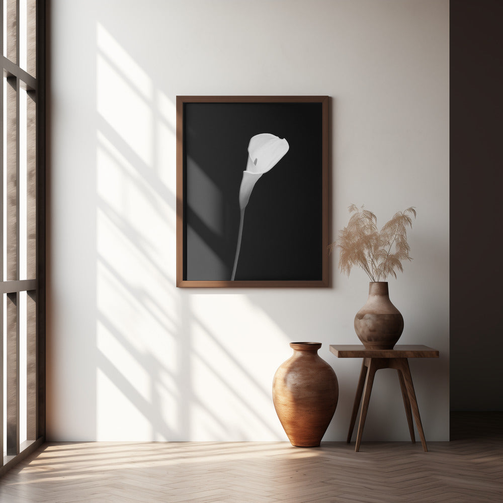 Calla | dark design Poster