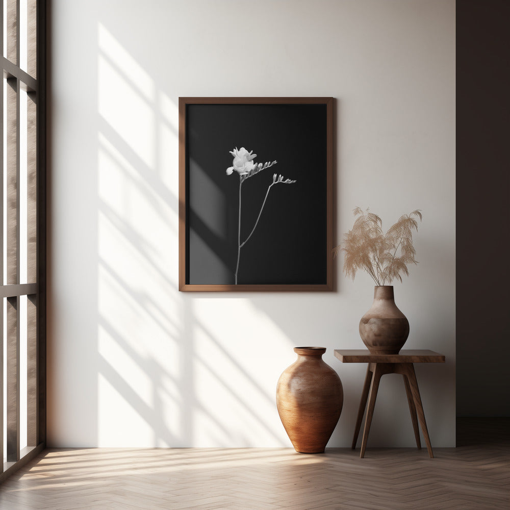 Freesia | dark design Poster