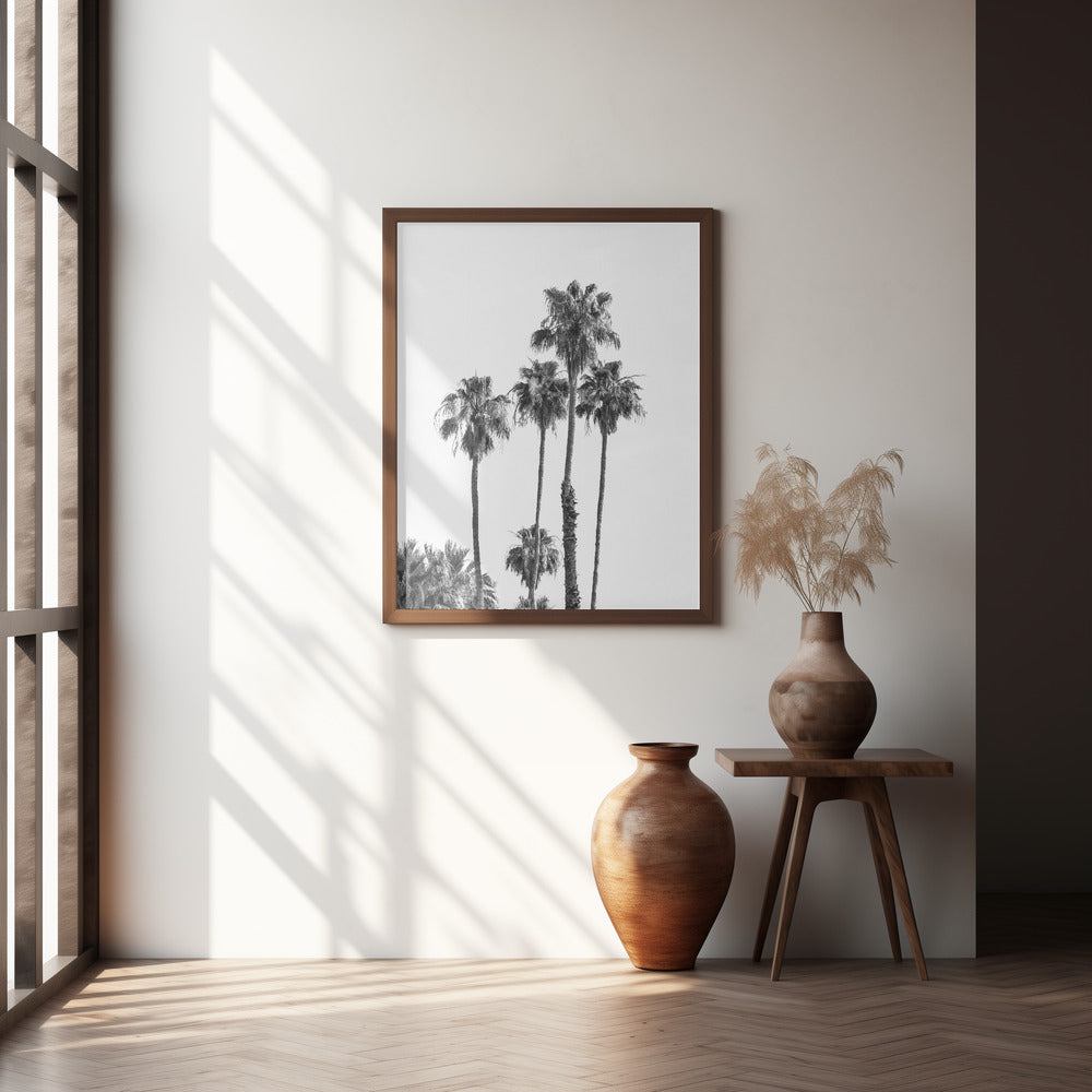 Palm trees | monochrome Poster