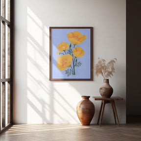 Bouquet of orange California poppies Poster