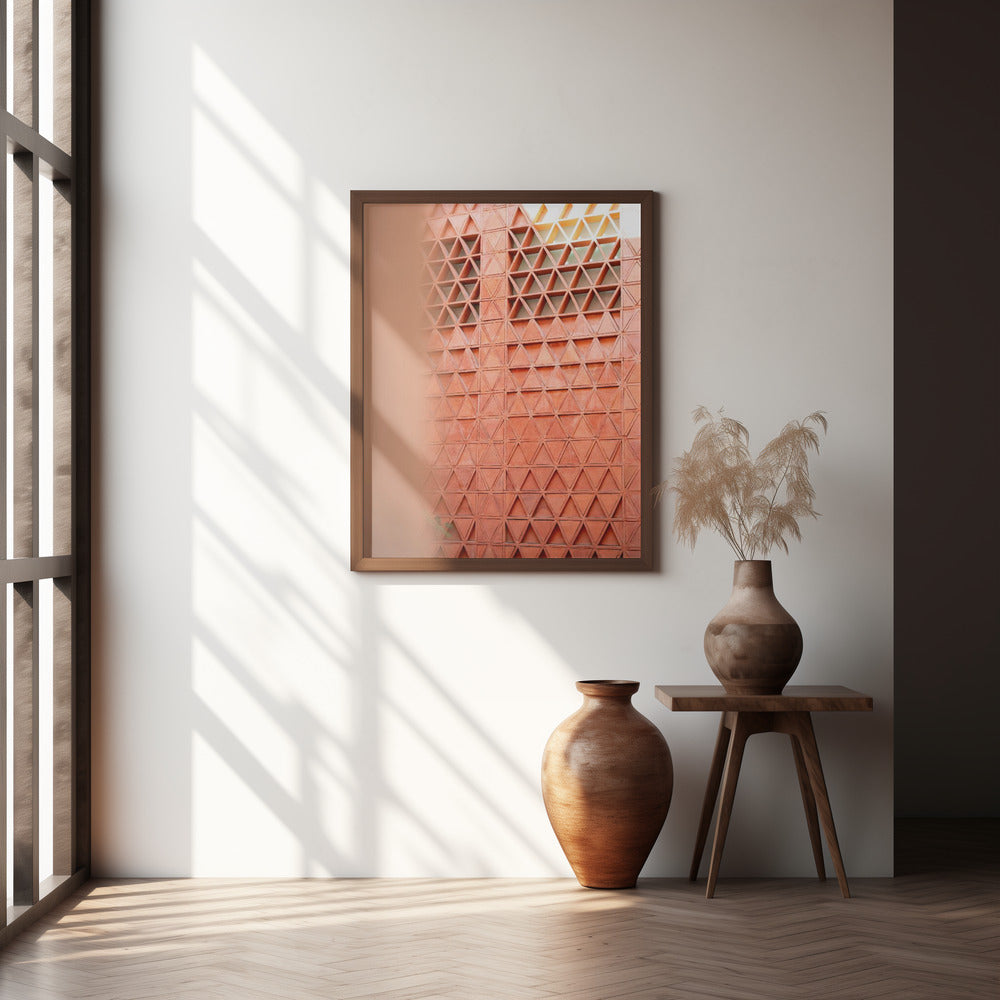 Coral details of Oaxacan Architecture in Mexico Poster