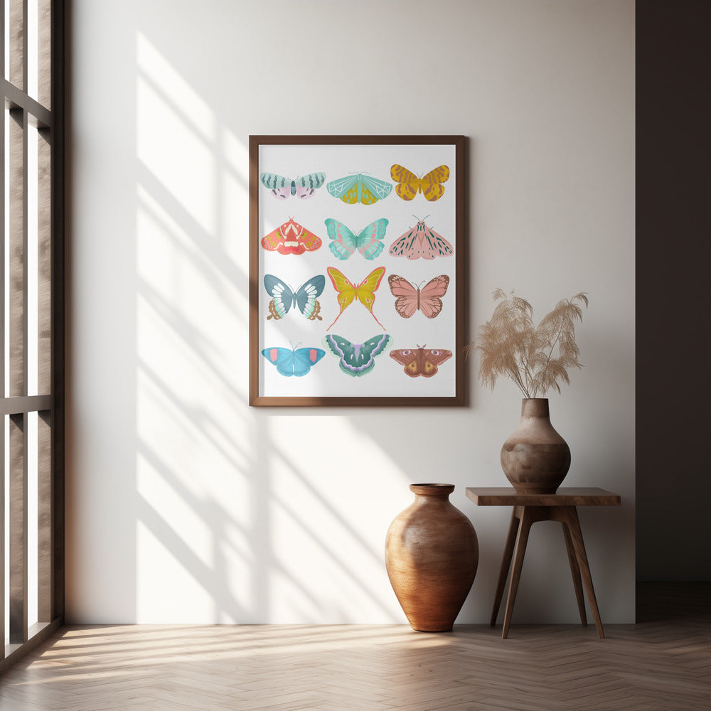 Butterfly Poster