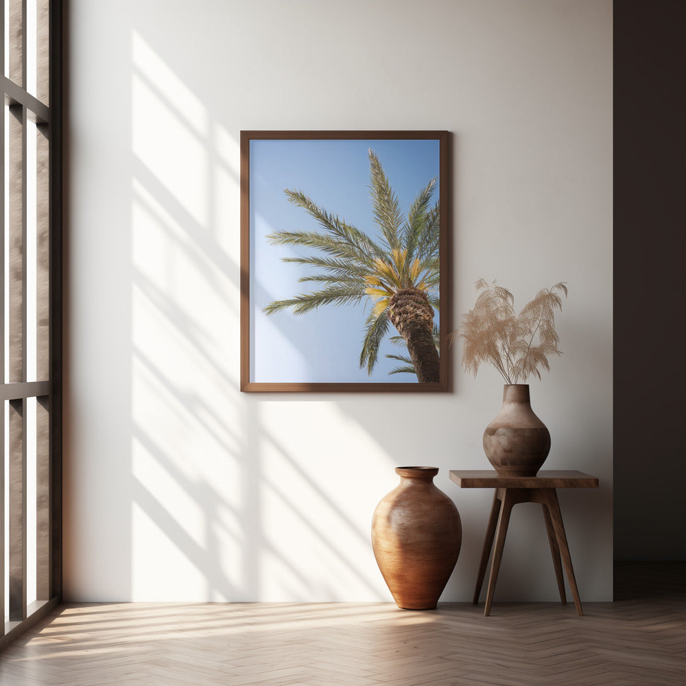 Vejer de La Frontera Palm Tree Poster