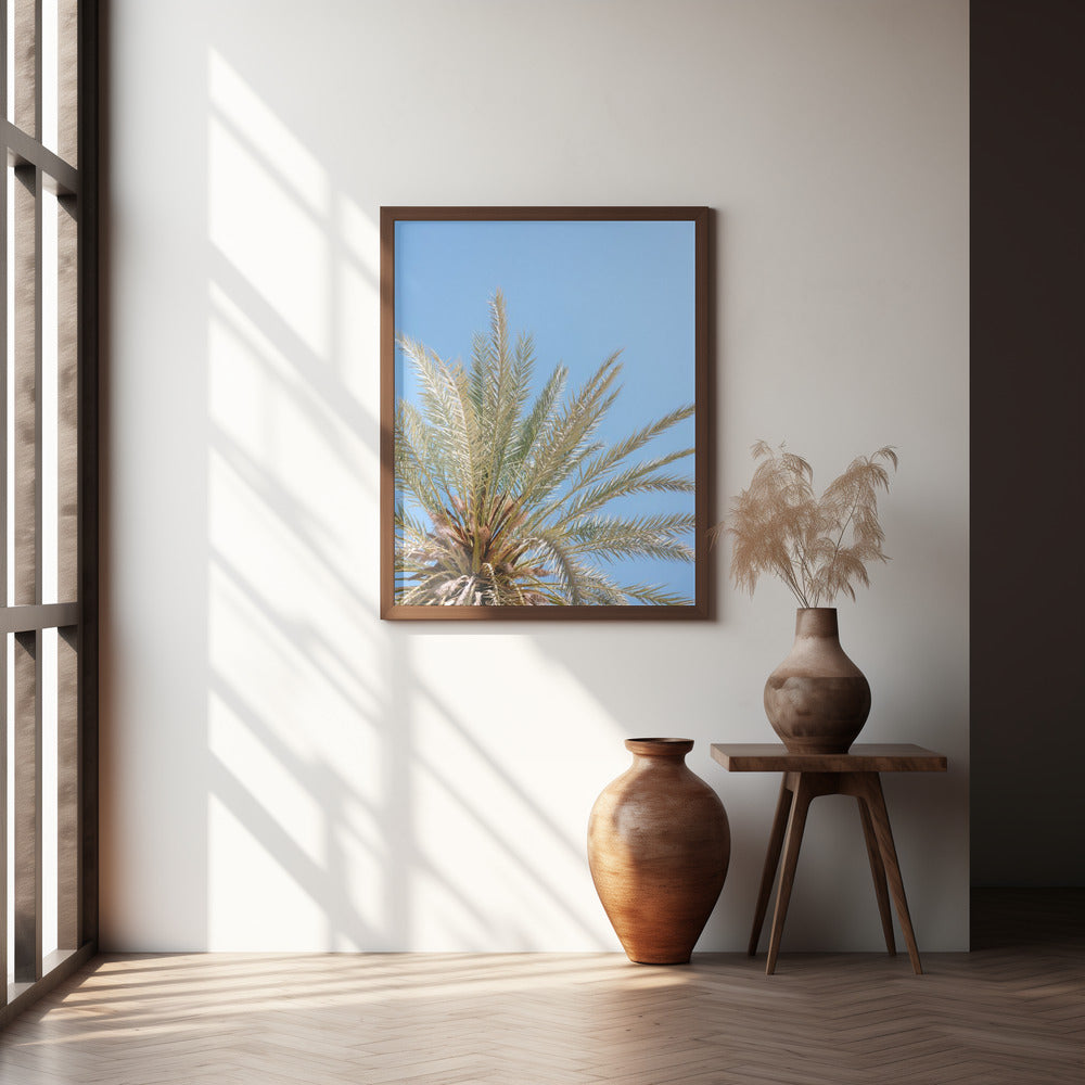 Moroccan Coast Palm Tree Poster