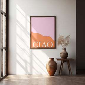 Ciaopinkorange Ratioiso Poster