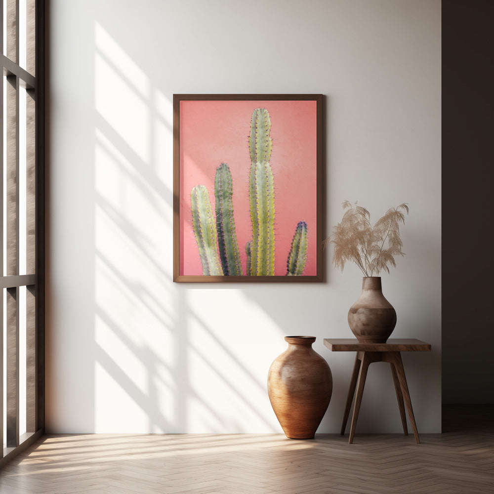 Pretty Pink Cactus Marrakech Poster