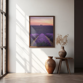 Lavender fild Poster