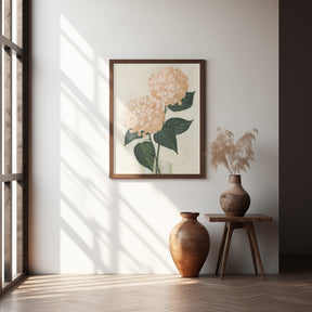 Coral hydrangeas in a vase Poster