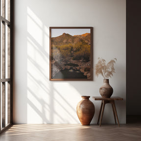 Ventana Canyon Poster