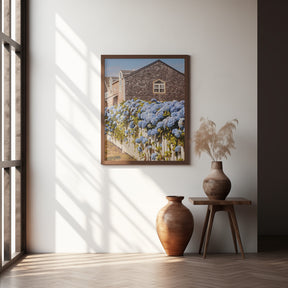 Cannon Beach Hydrangeas Poster