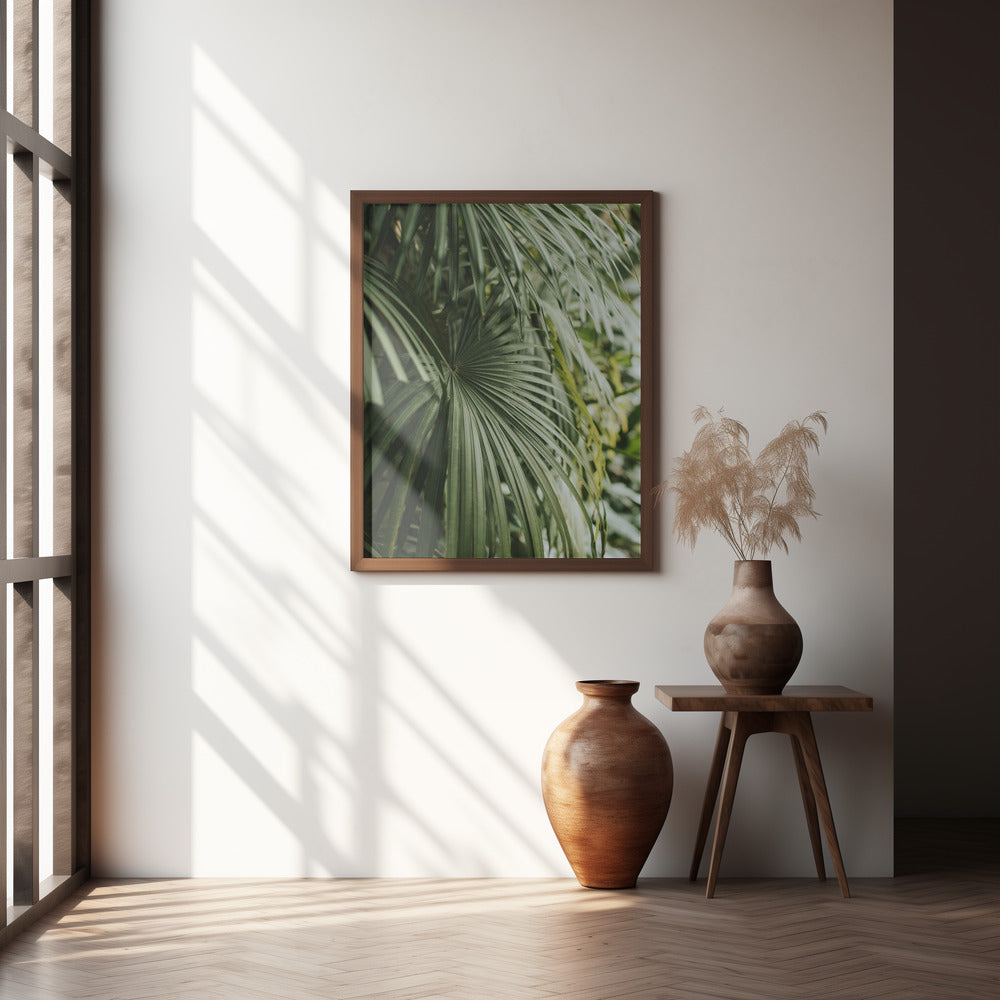 Areca Palm Poster