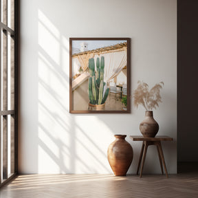 Rooftop Cactus | Morocco Travel Photography Poster