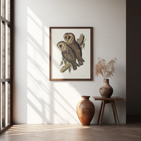 Masked Barn Owl Poster