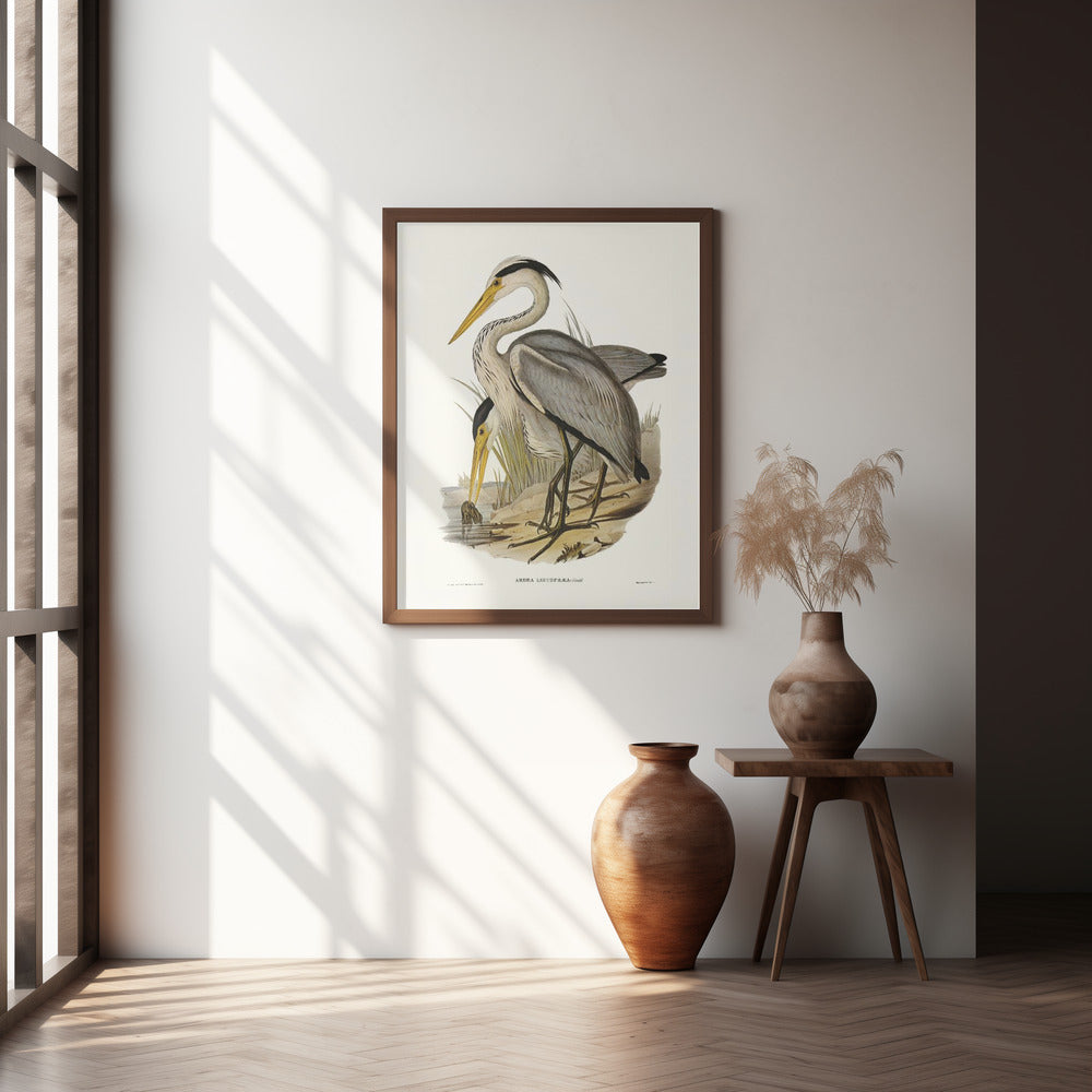 Great Grey Heron Poster