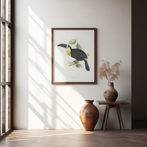 Osculant Toucan Poster